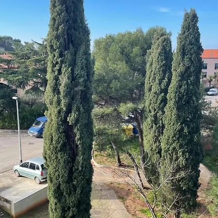 Apartman Divna *